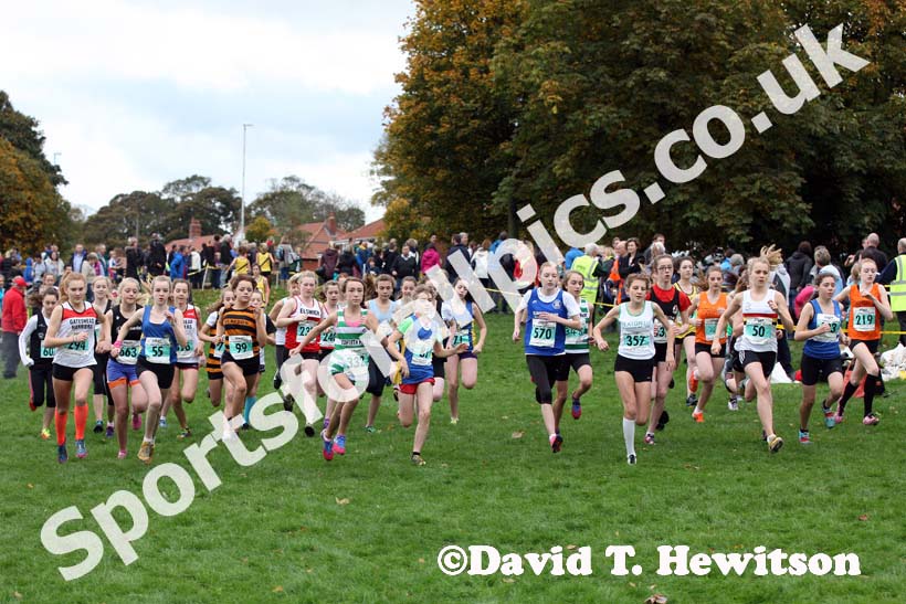 Start of the under-15 girls North East Harrier League, Blaydon. Photo: David T. Hewitson/Sports for All Pics